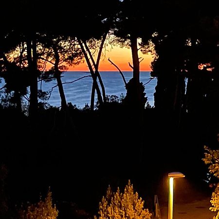 Robi Apartment Rovinj Exterior foto